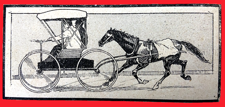 1902 CART BEFORE HORSE